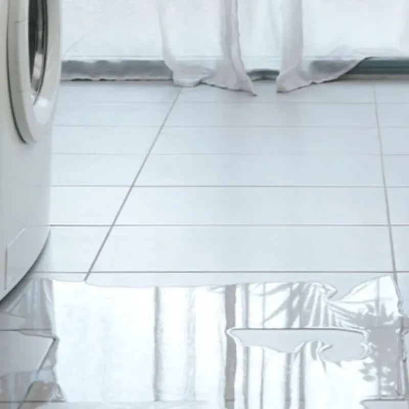 Appliance Leak Cleanup in Wahkiakum County, WA