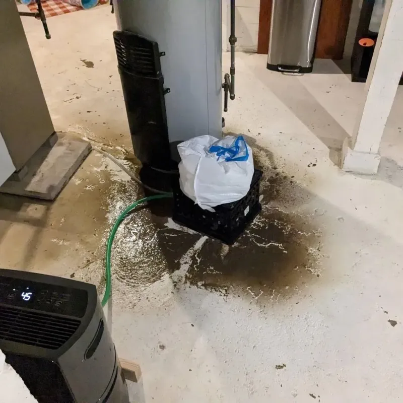 Sewage Backup Cleanup Service in Wahkiakum County, WA